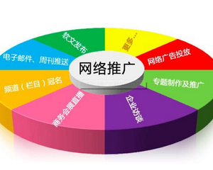 全程技术推广 驱动数字化转型的核心引擎