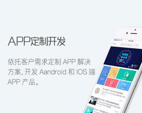 科技引领，匠心打造 中软硅谷信息科技的 App 开发与网站推广之道